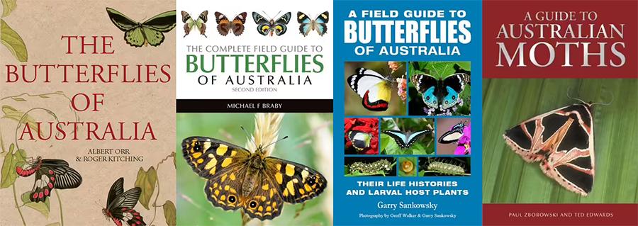 banner field guides